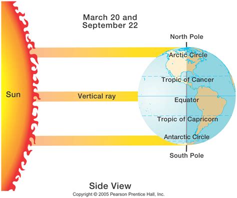 The Son's Rays .